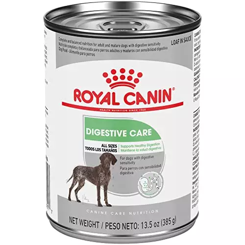 Royal Canin Canine Care Nutrition Digestive Care Loaf in Sauce Wet Dog Food, 13.5 oz can (12-count)