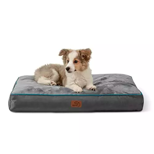 Bedsure Medium Dog Bed for Medium Dogs Cats, Dog Bed Pillows – Up to 50lbs, Waterproof Dog Beds with Removable Washable Cover, Pet Bed Mat, Grey