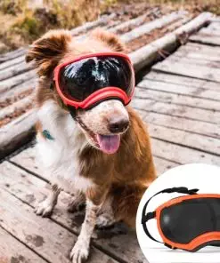 Rex Specs V2 Dog Goggles (Medium, Bandit Orange)