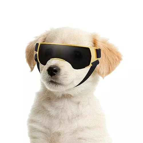 Billionchains Dog Goggles for Small Dog Doggy Goggles with Adjustable Straps Anti-UV Doggie Sunglasses Windproof Eye Protection Dog Sunglasses to Small Breed, Golden