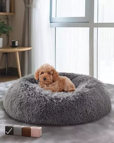 OhGeni Calming Donut Bed for Dogs and Cats, Ultra Soft Circle Bed, Cozy, Waterproof, Zipper Cover, 23 in Bed, Small Dog Bed (Gray)