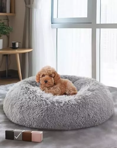 OhGeni Calming Donut Bed for Dogs and Cats, Ultra Soft Circle Bed, Cozy, Waterproof, Zipper Cover, 23 in Bed, Small Dog Bed (Light Gray)