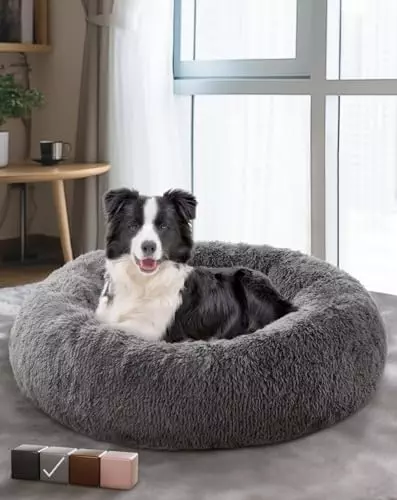 OhGeni Calming Donut Bed for Dogs and Cats, Ultra Soft Circle Bed, Cozy, Waterproof, Zipper Cover, 36 in Bed, Large Dog Bed (Gray)