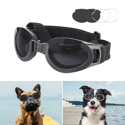 NAMSAN Interchangeable Dog Sunglasses Medium Breed, Dog Goggles for Car Rides, Dog Glasses with Replaceable Lenses for Medium Dogs, UV/Wind/Dust Eye Protection, Black/Clear