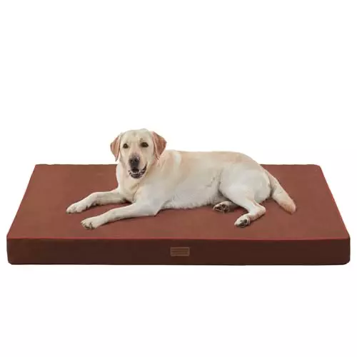 SunStyle Home Medium Dog Bed, Orthopedic Egg Crate Foam, Waterproof, Machine Washable, Fits Dogs Up to 75lbs