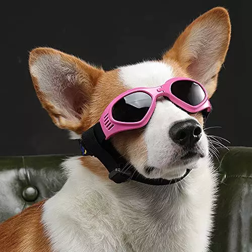 PEDOMUS Dog Goggles Dog Sunglasses Small Adjustable Strap for UV Sunglasses Waterproof Protection for Dogs (PINK)