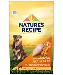 Nature’s Recipe Grain Free Chicken, Sweet Potato & Pumpkin Recipe Dry Dog Food, 24 lb. Bag