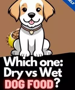 Which one: Dry vs Wet Dog Food?: A fun quiz to know your dog’s food preference and needs. (Quiz Yourself Book 34)