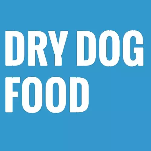 Things to consider when buying the best dry dog food