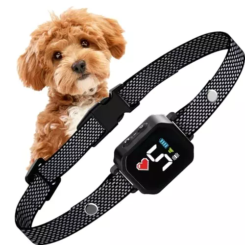 Bark Collar for Small Dogs 5-15lbs – No Shock Small Dog Bark Collar – Rechargeable Smart Anti Barking Collar with Beep Vibration Mode – Waterproof Anti Bark Collar with 7 Sensitivity Levels