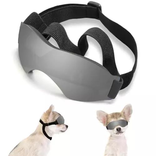 Small Dog Sunglasses, UV Protection Dog Goggles for Small to Medium Breed Dog, Windproof Antifog Pet Glasses for Puppy with Adjustable Strap (Black)