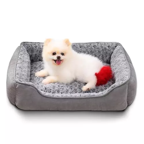 Oiilores Dog Beds for Small Dogs, Calming Puppy Bed Sofa with Washable Removable Cover, Rectangle Anti-Anxeity Pet Bed Couch with Anti-Slip Bottom, 24″x18″,Gery