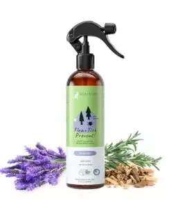 kin+kind | Plant-Based Flea and Tick Spray for Dogs (12 fl oz) | Lavender