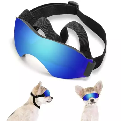 Small Dog Sunglasses, UV Protection Dog Goggles for Small to Medium Breed Dog, Windproof Antifog Pet Glasses for Puppy with Adjustable Strap (Blue)