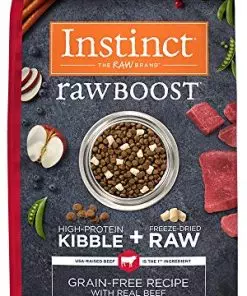 Instinct Raw Boost Grain Free Dry Dog Food, High Protein Real Beef Kibble + Freeze Dried Raw Dog Food, 20 lb. Bag