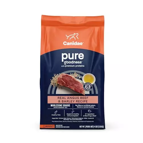 CANIDAE Pure Adult Dry Dog Food with Wholesome Grains, Real Beef & Barley Recipe, 4 lbs.