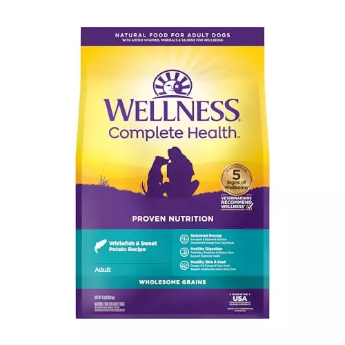 Wellness Complete Health Dry Dog Food with Grains, Natural Ingredients, Made in USA with Real Meat, All Breeds, For Adult Dogs (Whitefish & Sweet Potato, 15-Pound Bag)