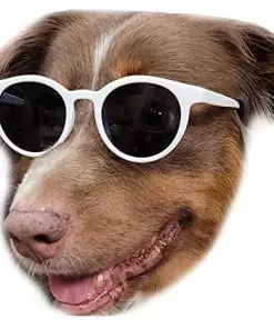 G018 Dog Pet Costume Prop Panto Sunglasses Medium Large Breeds 25-55lbs (White)