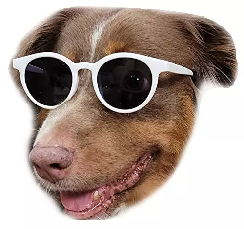 G018 Dog Pet Costume Prop Panto Sunglasses Medium Large Breeds 25-55lbs (White)