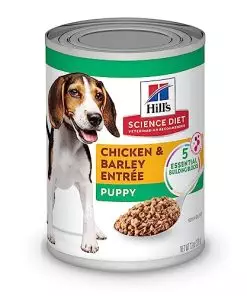 Hill’s Science Diet Puppy, Puppy Premium Nutrition, Wet Dog Food, Chicken & Barley Loaf, 13 oz Can, Case of 12