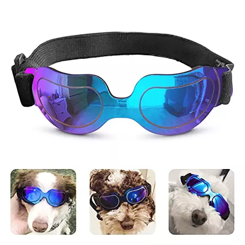 PEDOMUS Dog Sunglasses Small Dog Goggles Doggles Dog Glasses for Small Dogs Adjustable Band Blue