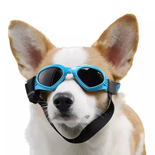 PEDOMUS Dog Goggles Dog Sunglasses Adjustable Strap for UV Sunglasses Waterproof Protection for Dogs (BLUE)