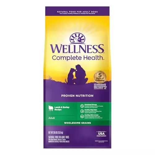 Wellness Complete Health Dry Dog Food with Grains, Made in USA with Real Meat & Natural Ingredients, All Breeds, Adult Dogs (Lamb & Barley, 30-lb) – With Nutrients for Immune, Skin, & Coat Support, 30.00 Pound (Pack of 1)