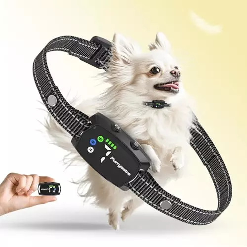 Dog Bark Collar，Anti Bark Collar for Small and Medium Dogs, Black Strap