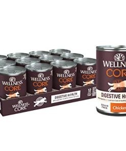 Wellness CORE Digestive Health Chicken Grain Free Wet Dog Food, 13 Ounce Can (Pack of 12)