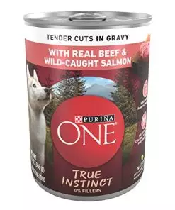 Purina ONE High Protein Wet Dog Food True Instinct Tender Cuts in Dog Food Gravy With Real Beef and Wild-Caught Salmon – (12) 13 Oz. Cans