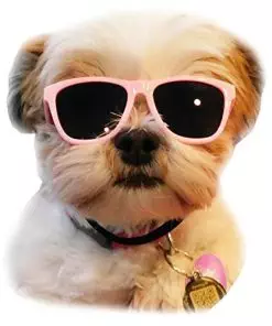 G014 Dog Pet 80s Sunglasses Goggles for Small Dogs up to 15lbs (Pink)