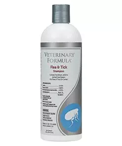 Veterinary Formula Flea and Tick Shampoo for Dogs and Cats, 16 oz