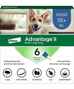 Advantage II XL Dog Vet-Recommended Flea Treatment & Prevention | Dogs Over 55 lbs. | 6-Month Supply