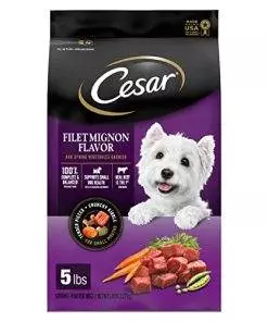 CESAR Adult Small Breed Dry Dog Food, Filet Mignon Flavor with Spring Vegetables Garnish, 5 lb. Bag
