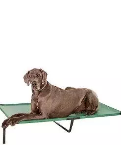 Amazon Basics Cooling Elevated Dog Bed with Metal Frame, Extra-Large, 60 x 37 x 9 Inch, Green
