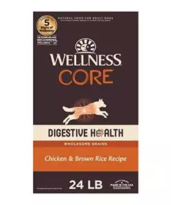 Wellness CORE Digestive Health Dry Dog Food with Wholesome Grains, Highly Digestible, For Dogs with Sensitive Stomachs, Made in USA with Real Chicken (Adult, 24-Pound Bag)