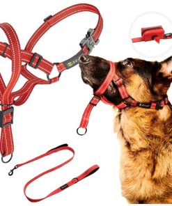 Zevey Dog Headcollar with Leash and Safety Strap Stops Heavy Pulling On The Leash Padded Reflective Head Halter for Small Medium Large Dogs Adjustable Head Harness for Training and Walking (XL, RED)