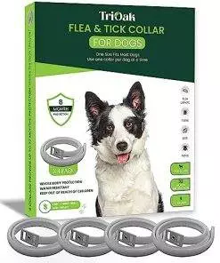 4 Pack Flea Collar for Dogs, Flea and Tick Collar for Dogs, One Size for All-Gray