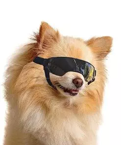 Enjoying Small Dog Sunglasses UV Protection Windproof Antifog Doggy Goggles for Pet Eye Wear, Black