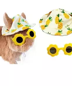 Cute Small Summer Hat and Glasses Costume Outfit Accessories for Pet Bunny Kitten Guinea Pig Chinchillas (Pineapple)