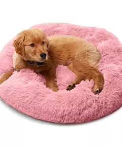 Premium Dog Beds for Large Dogs and Medium Dogs – Portable Dog Beds & Furniture – Dog Travel – Fits up to 25 lbs, (Small, Pink)