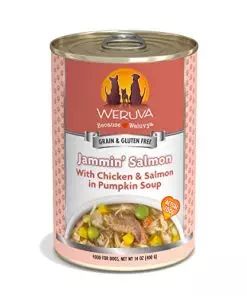 Weruva Classic Dog Food, Jammin’ Salmon with Chicken & Salmon in Gravy, 14oz Can (Pack of 12), Red (Jammin’ Salmon)