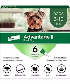 Advantage II Small Dog Vet-Recommended Flea Treatment & Prevention | Dogs 3-10 lbs. | 6-Month Supply