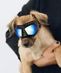 ENJOYING Dog Goggles Small Breed Anti-UV Puppy Sunglasses for Small-Medium Dogs Anti-Fog Windproof Snowproof Doggy Glasses Eyes Protection, Soft Frame, Blue